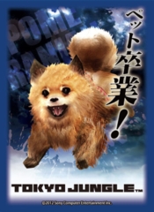 Tokyo Jungle Pomeranian Card Sleeves 60 ct.